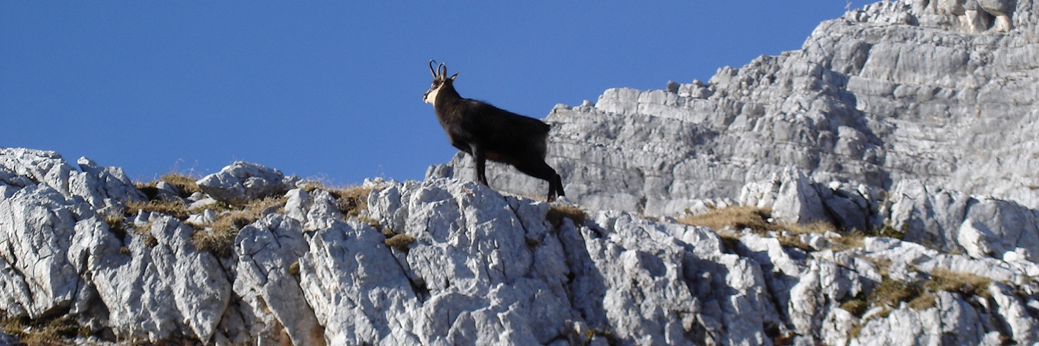 Last Minute - Angebote für Urlaub und Reise in Österreich